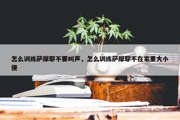 怎么训练萨摩耶不要叫声,怎么训练萨摩耶不在家里大小便