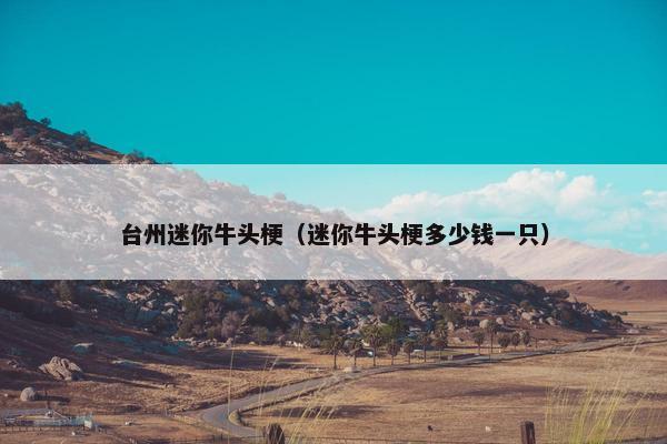 台州迷你牛头梗（迷你牛头梗多少钱一只）