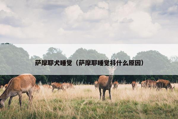 摩耶 第10页