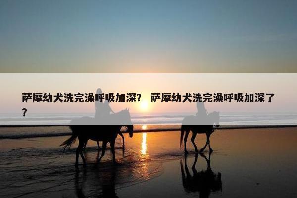 萨摩幼犬洗完澡呼吸加深？ 萨摩幼犬洗完澡呼吸加深了？