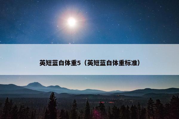 英短蓝白体重5（英短蓝白体重标准）