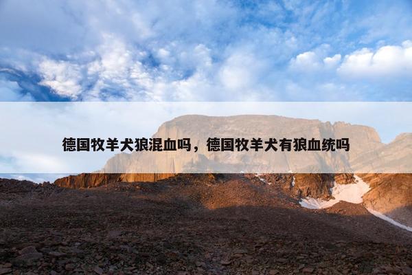 德国牧羊犬狼混血吗，德国牧羊犬有狼血统吗