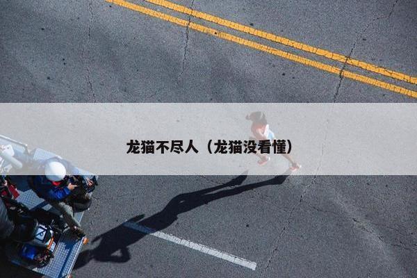 龙猫不尽人（龙猫没看懂）