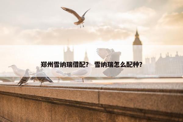 郑州雪纳瑞借配？ 雪纳瑞怎么配种？