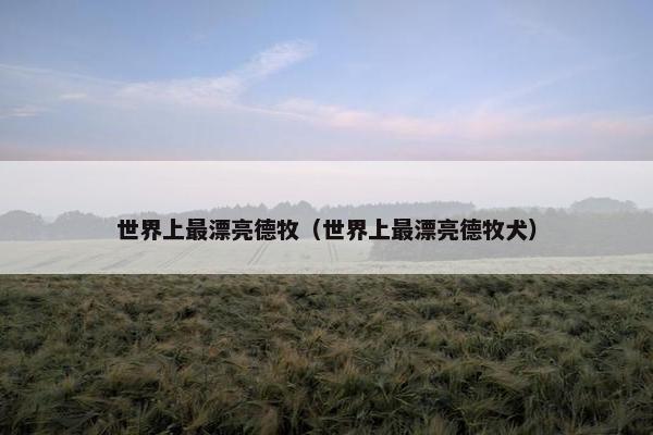 世界上最漂亮德牧（世界上最漂亮德牧犬）