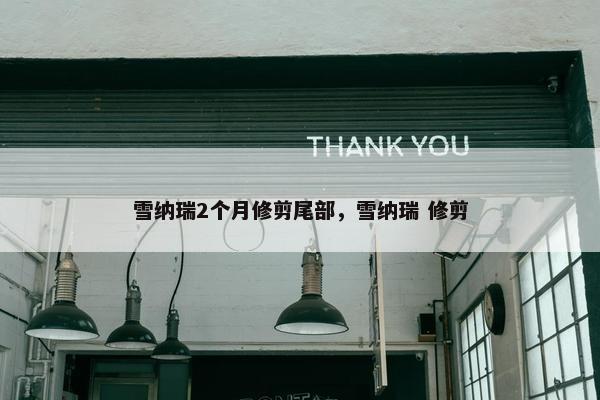 雪纳瑞2个月修剪尾部，雪纳瑞 修剪