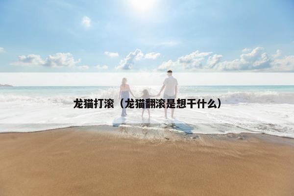龙猫打滚（龙猫翻滚是想干什么）