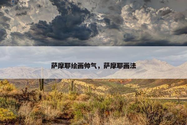 牧羊犬 第10页