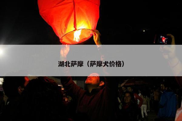 湖北萨摩（萨摩犬价格）