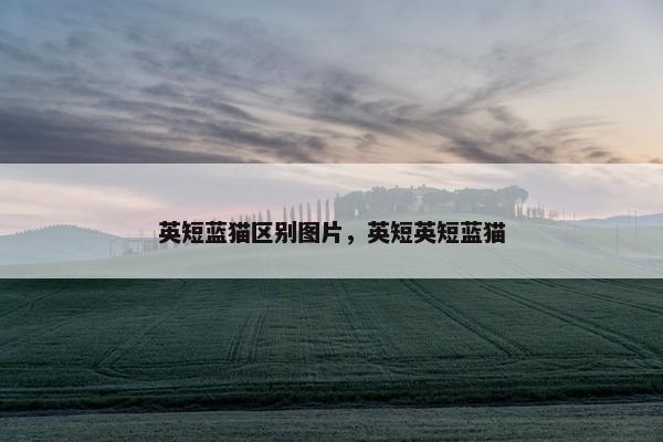 英短 第4页