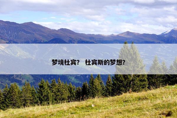 梦境杜宾？ 杜宾斯的梦想？