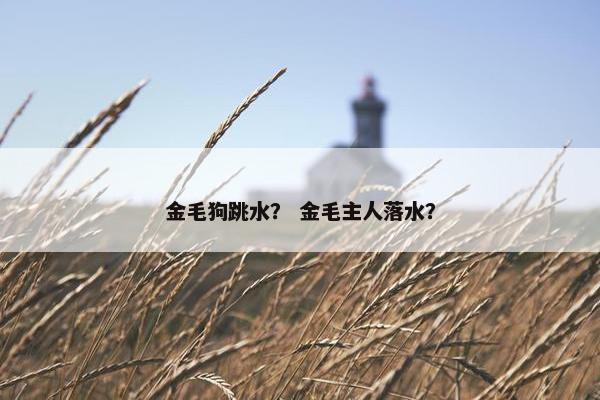 金毛狗跳水? 金毛主人落水?