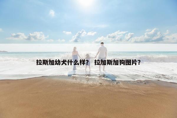 拉斯加幼犬什么样？ 拉加斯加狗图片？