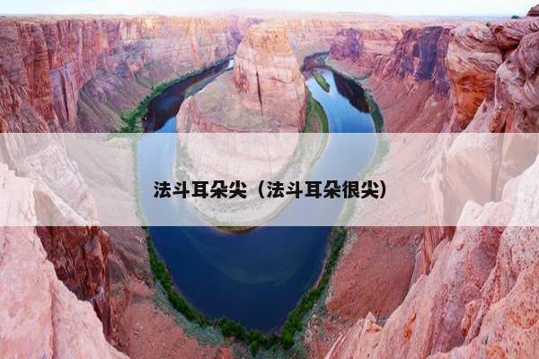 法斗耳朵尖（法斗耳朵很尖）