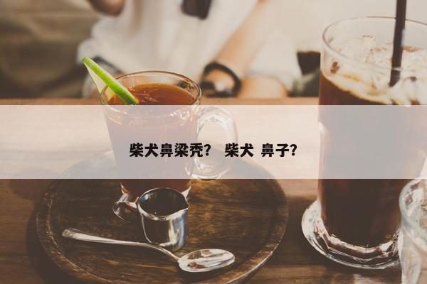 柴犬鼻梁秃？ 柴犬 鼻子？