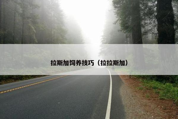 每日