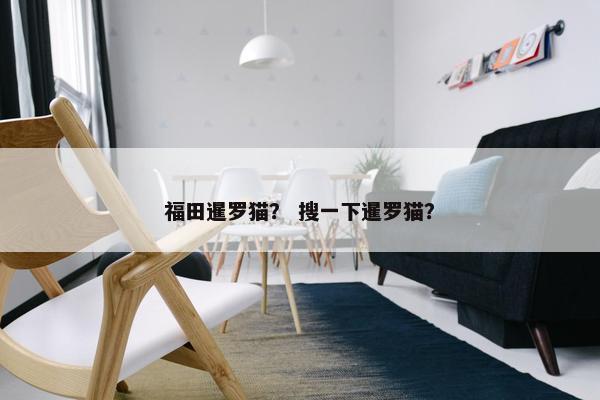 福田暹罗猫？ 搜一下暹罗猫？