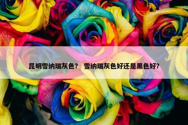 昆明雪纳瑞灰色？ 雪纳瑞灰色好还是黑色好？