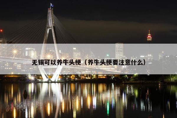 无锡可以养牛头梗(养牛头梗要注意什么)