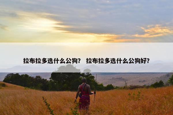 拉布拉多选什么公狗？ 拉布拉多选什么公狗好？