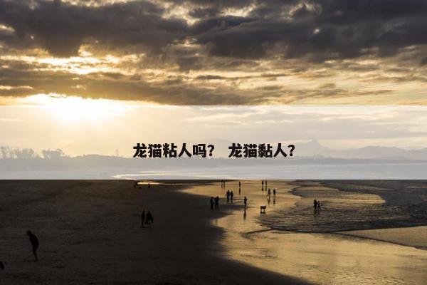 龙猫 第6页
