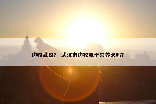 武汉市