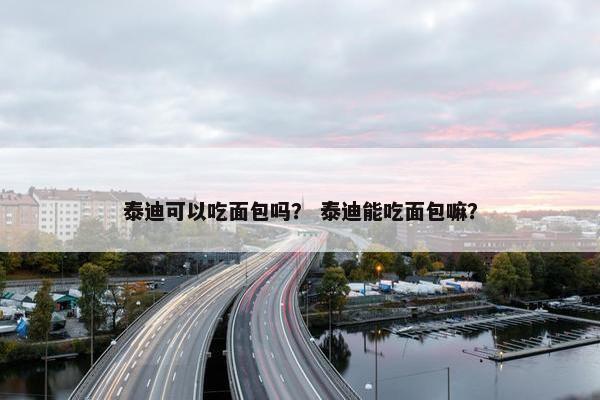 泰迪可以吃面包吗? 泰迪能吃面包嘛?