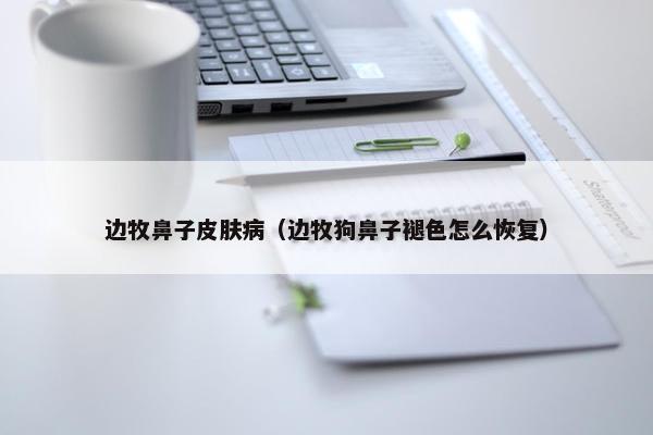 边牧鼻子皮肤病(边牧狗鼻子褪色怎么恢复)