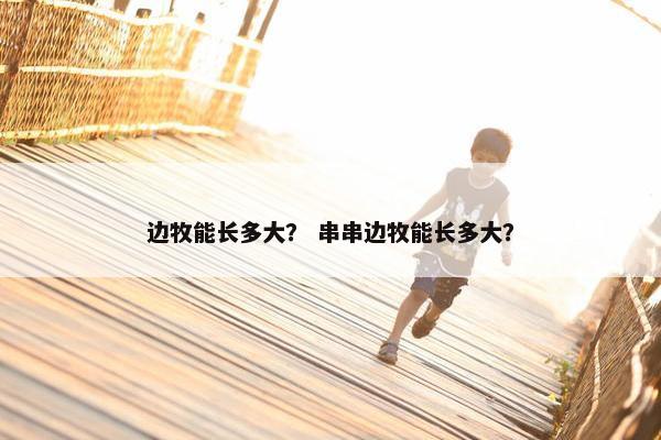 边牧能长多大？ 串串边牧能长多大？
