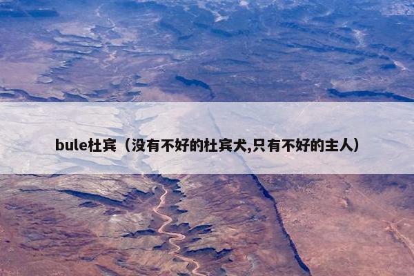 bule杜宾(没有不好的杜宾犬,只有不好的主人)