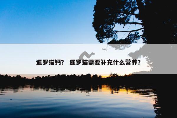 暹罗猫钙？ 暹罗猫需要补充什么营养？