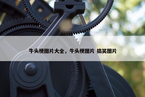 牛头梗图片大全,牛头梗图片 搞笑图片