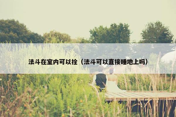 法斗在室内可以拴（法斗可以直接睡地上吗）