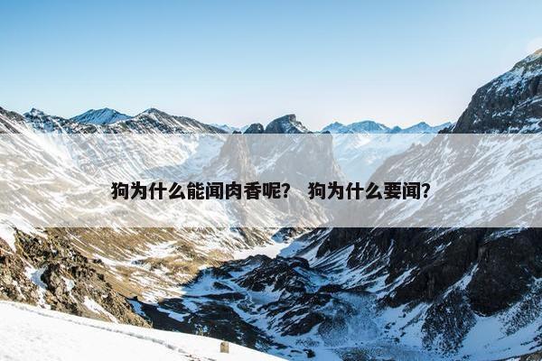 狗为什么能闻肉香呢？ 狗为什么要闻？