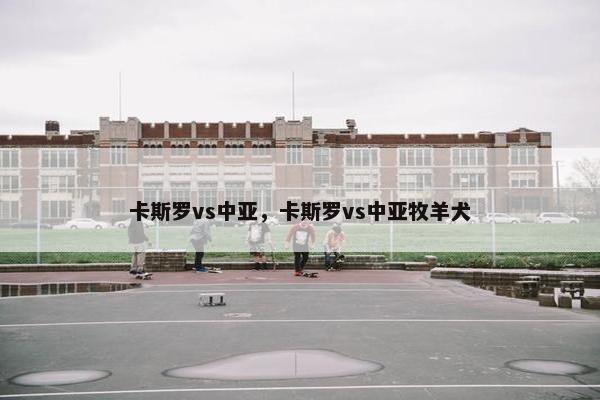 卡斯罗vs中亚,卡斯罗vs中亚牧羊犬