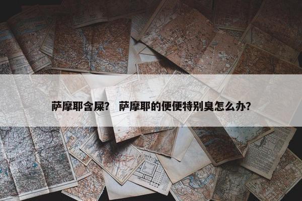 萨摩耶含屎？ 萨摩耶的便便特别臭怎么办？