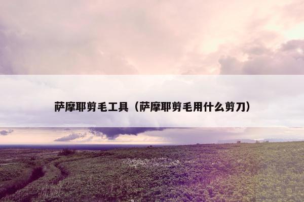 萨摩耶剪毛工具（萨摩耶剪毛用什么剪刀）