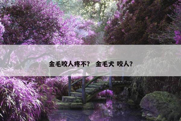 金毛咬人疼不？ 金毛犬 咬人？