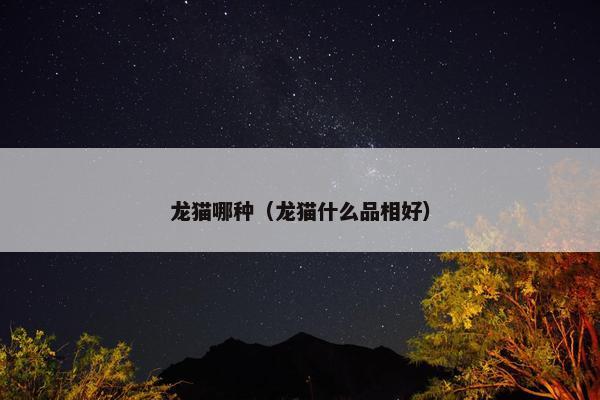 龙猫哪种（龙猫什么品相好）