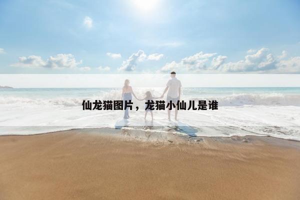 仙龙猫图片，龙猫小仙儿是谁