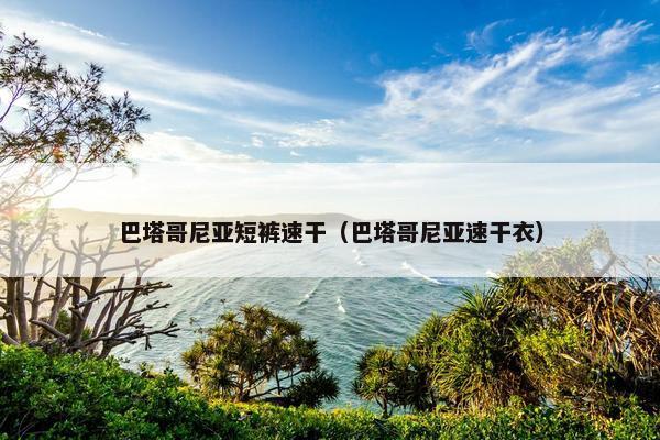 巴塔哥尼亚短裤速干（巴塔哥尼亚速干衣）