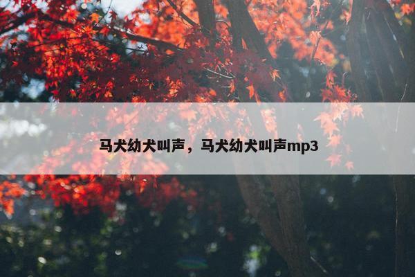 马犬幼犬叫声，马犬幼犬叫声mp3