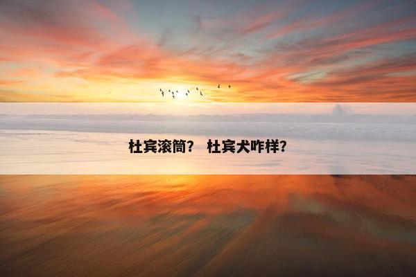 杜宾滚筒？ 杜宾犬咋样？