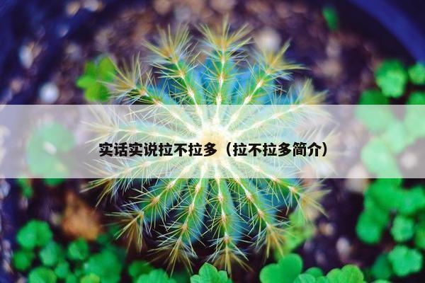 真实
