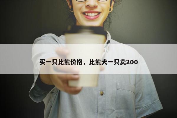 买一只比熊价格,比熊犬一只卖200