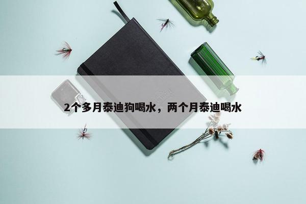 2个多月泰迪狗喝水，两个月泰迪喝水