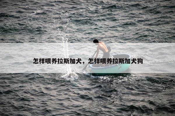 怎样喂养拉斯加犬，怎样喂养拉斯加犬狗