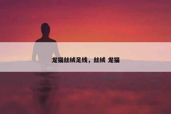丝绒