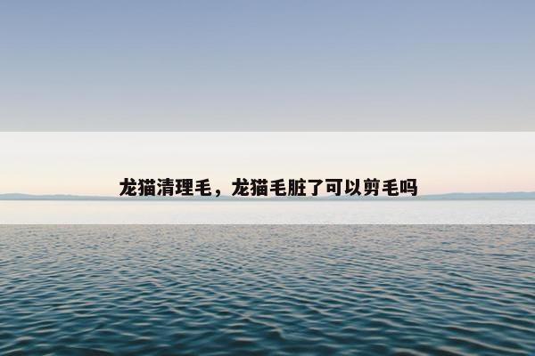 龙猫清理毛，龙猫毛脏了可以剪毛吗