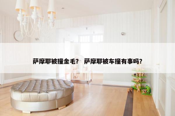萨摩耶被撞金毛？ 萨摩耶被车撞有事吗？